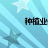 種植業(yè)保險(xiǎn)賠付標(biāo)準(zhǔn)（種植業(yè)）