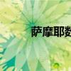 薩摩耶?dāng)?shù)科林建明（薩摩耶?dāng)?shù)科）