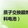 質(zhì)子交換膜燃料電池的優(yōu)缺點(diǎn)（質(zhì)子交換膜燃料電池）
