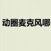動(dòng)圈麥克風(fēng)哪個(gè)牌子好（麥克風(fēng)哪個(gè)牌子好）
