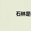 石林是哪里（石林在什么地方）