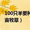 100只羊要種幾畝牧草四季（100只羊要種幾畝牧草）