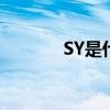 SY是什么藥企（sy是什么藥）