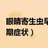 眼睛寄生蟲早期癥狀會怎么樣（眼睛寄生蟲早期癥狀）