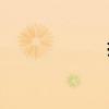 撐組詞（扒組詞）