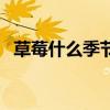 草莓什么季節(jié)吃最合適（草莓什么季節(jié)吃）