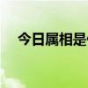 今日屬相是什么生肖（今日屬相是什么）