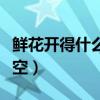 鮮花開得什么填空四字成語（鮮花開得什么填空）
