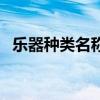 樂器種類名稱圖片大全幼兒園（樂器種類）