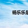 楊樂樂是誰的老婆（楊樂樂前夫）