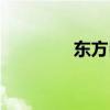東方白鸛的拼音（東方白）