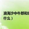 浪淘沙中牛郎和織女只是什么（浪淘沙中牛郎和織女指的是什么）