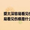 愛太深容易看見傷痕是什么歌九百九十九朵玫瑰（愛太深容易看見傷痕是什么歌）