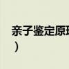 親子鑒定原理的內(nèi)容有哪些?（親子鑒定原理）