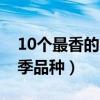 10個最香的月季品種是什么（10個最香的月季品種）