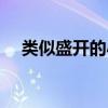 類似盛開(kāi)的小說(shuō)知乎（類似盛開(kāi)的寵文）