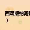 西雙版納海拔高嗎?會高反嗎（西雙版納海拔）