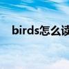 birds怎么讀音發(fā)音 音標(biāo)（birds怎么讀）