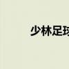 少林足球?qū)а菔牵ㄉ倭肿闱驅(qū)а荩? title=