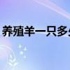 養(yǎng)殖羊一只多少利潤（養(yǎng)羊20只一年的利潤）