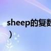 sheep的復(fù)數(shù)是什么（sheep復(fù)數(shù)形式是什么）