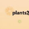 plants怎么讀音(plants怎么讀) plants怎么讀音(plants怎么讀)