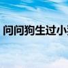 問問狗生過小狗能吃食嗎怎么回答(問問狗) 問問狗生過小狗能吃食嗎怎么回答(問問狗)