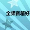 全頻音箱好還是分頻音箱好（全頻音箱）