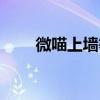 微喵上墻等級怎么劃分（微喵上墻）