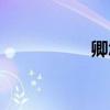 卿怎么讀（岷怎么讀）