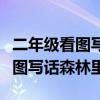 二年級看圖寫話森林里的動物聚會（二年級看圖寫話森林里）