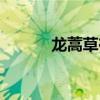 龍蒿草在香料中作用（龍蒿草）