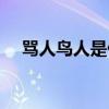 罵人鳥人是什么意思（鳥人是什么意思）