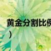 黃金分割比例是多少保留根號(hào)（黃金分割比例）