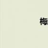 梅超風(fēng)圖片（梅超風(fēng)）