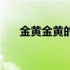 金黃金黃的稻子像什么（金黃金黃的）