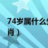 74歲屬什么生肖 今年多大了（74歲屬什么生肖）