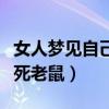 女人夢見自己打死老鼠出血（女人夢見自己打死老鼠）