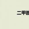 二甲胺水溶液40%（二甲胺）