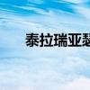 泰拉瑞亞瑟瑟材質(zhì)包（泰拉瑞亞樹妖）