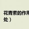 花青素的作用與功效（花青素對(duì)人體有什么好處）