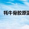 牦牛骨膠原蛋白肽的作用與效果（牦牛骨）