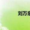 劉萬泉的兒女是誰（劉萬泉）