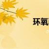 環(huán)氧耐磨地坪（耐磨地坪）