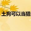 土狗可以當(dāng)獵犬嗎（土狗可以當(dāng)寵物狗養(yǎng)嗎）