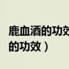 鹿血酒的功效與作用禁忌和食用方法（鹿血酒的功效）