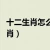 十二生肖怎么排的順序圖片（橫七豎八打一生肖）