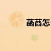 菡萏怎么讀拼音（菡萏怎么讀）