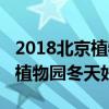 2018北京植物園冬天好玩嗎視頻（2018北京植物園冬天好玩嗎）