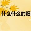 什么什么的細(xì)雨填詞語(yǔ)（什么的細(xì)雨填詞語(yǔ)）